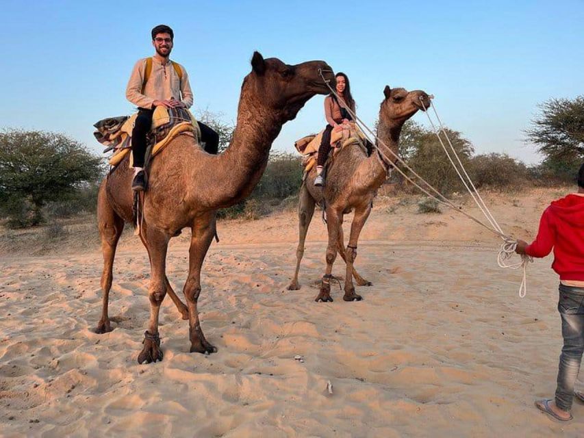 Camel Safari & Jeep Safari Private Tour From Jodhpur