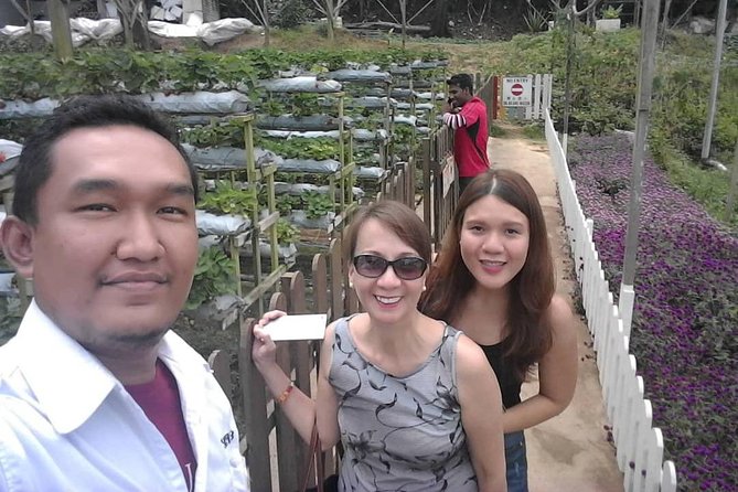 Cameron Highland Day Tour