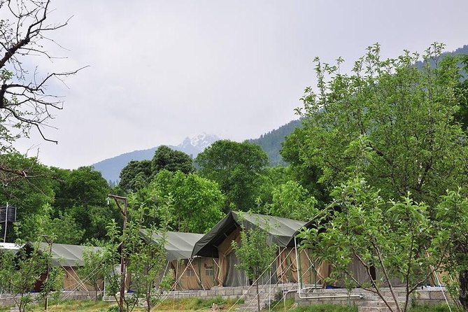 Camping in Manali, Himachal Pradesh