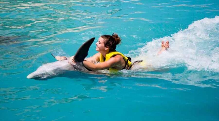 Cancún - Dolphin Cat & Swim Adventure - Overview and Pricing