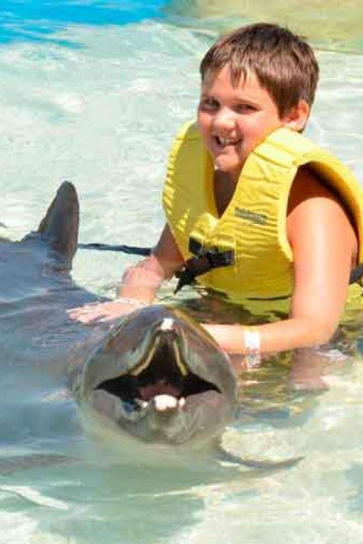 Cancún: Dolphin Swim Adventure
