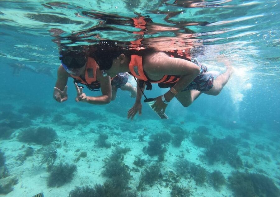 Cancun: Isla Mujeres Catamaran Cruise With Snorkel and Lunch
