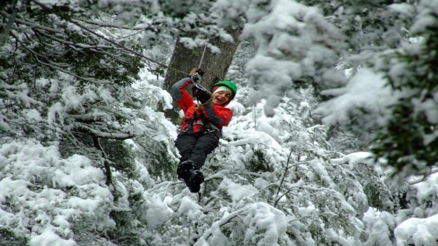 Canopy Half-Day Tour in Bariloche