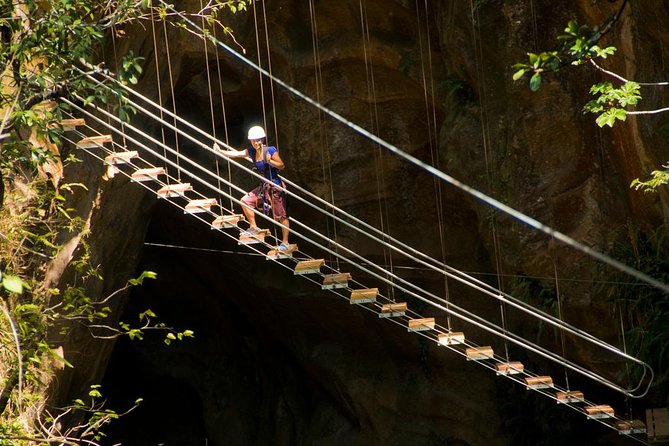 Canyon Canopy Tour: Zip Line, Rappel, Rock Climb,Tarzan Swing, Hanging Bridge