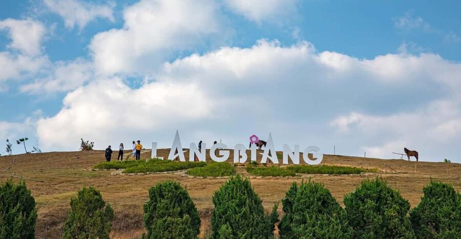 Car Hire & Driver: Liang Biang - Linh Phuoc From Da Lat City - Service Overview
