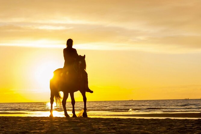 Cartagena: Horseback Riding at the Beach During Day or Sunset - Overview of the Experience