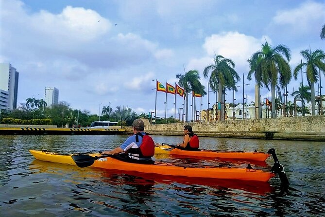 15 Best Canoe And Kayak Experiences In Cartagena