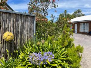 Castaway Holiday Apartments - Property Highlights