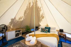 Castlemaine Gardens Luxury Glamping - Guest Experiences