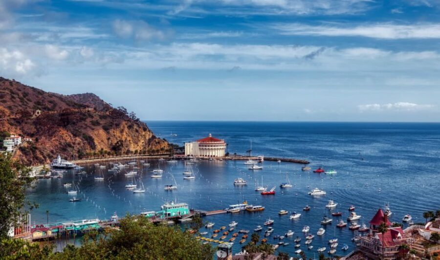 Catalina Island: Yellow Semi-Submarine Cruise - Activity Overview