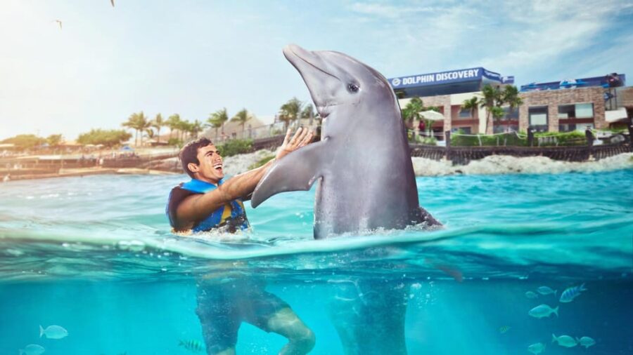 Catamaran to Isla Mujeres and Swim With Dolphins Adventure