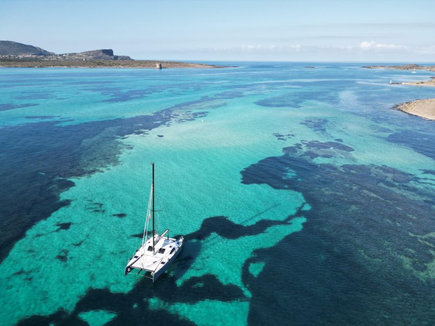 Catamaran Tour in the Asinara Island National Park - Tour Overview