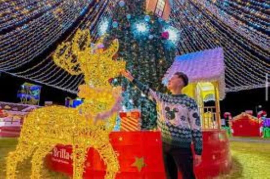 CDMX: Illuminated Village Tour