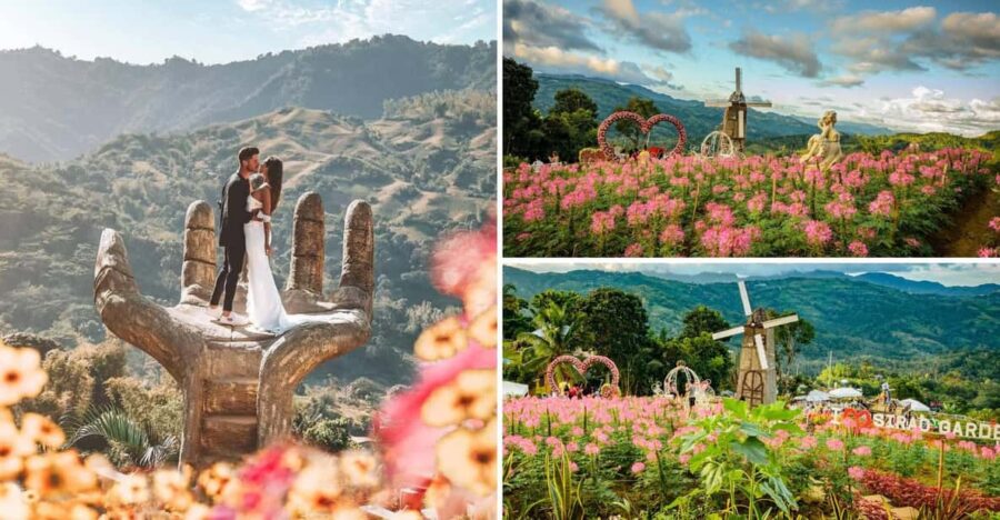 Cebu City Tour (Private Tour)