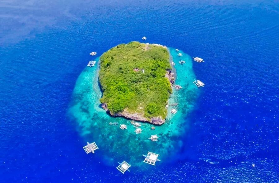 Cebu: Moalboal Sardines and Turtles Snorkeling Tour