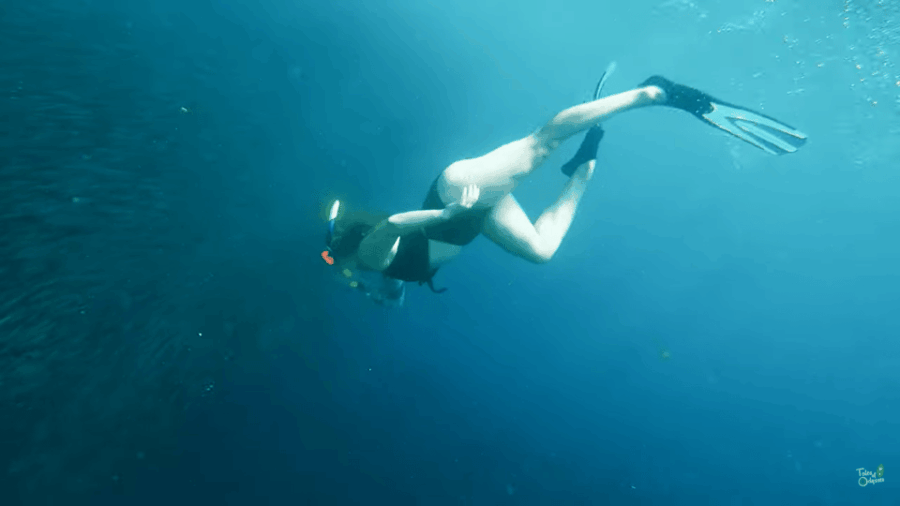 Cebu: Moalboal Snorkeling & Kawasan Canyoneering Adventure