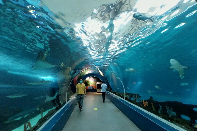 Cebu Ocean Park