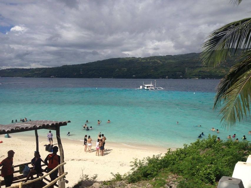Cebu: Private Sumilon Island & Optional Whale Shark Swim - Tour Overview and Pricing