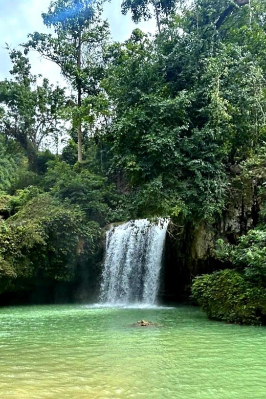 Cebu Shared Tour: Whaleshark Swimming & Kawasan Canyoneering