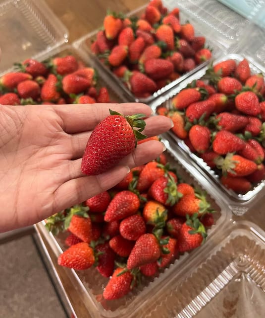Cebu | West Highland Tour With Strawberry Farm (Private)