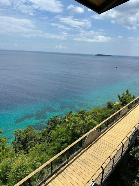 Cebu: Whale Shark & Mysterious Waterfall Private Tour