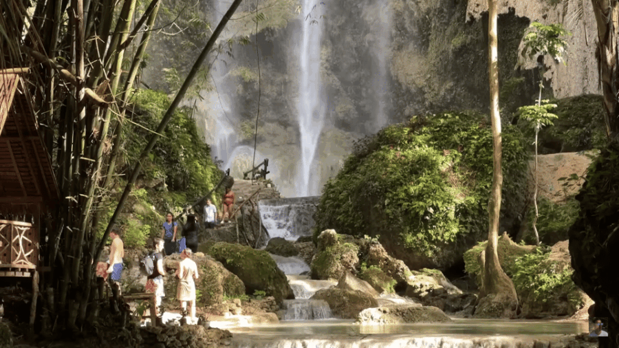 Cebu: Whale Shark Watching, Tumalog Falls & Sumilon Island