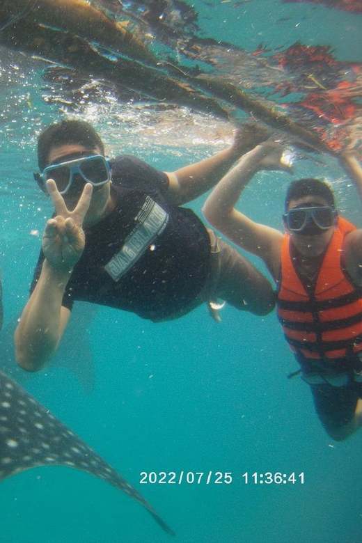 Cebu: Whaleshark Watching & Inambakan Falls