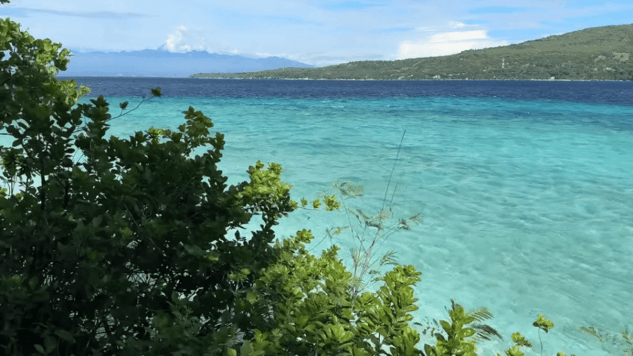 Cebu:Oslob Whales,Sumilon Island & Inambakan Falls Adventure