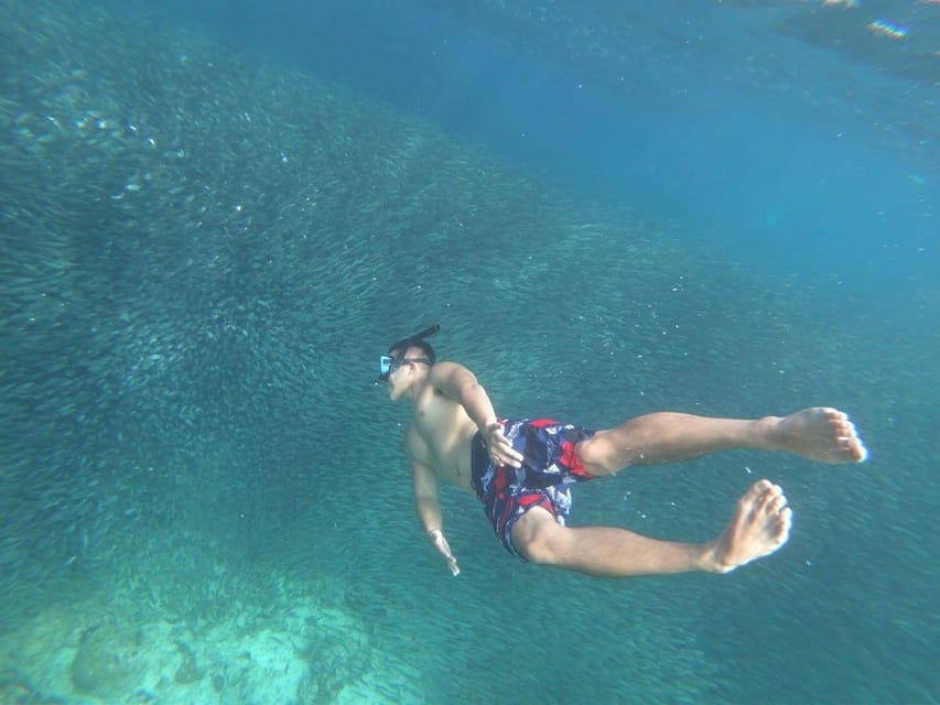 3 Best Snorkeling Experiences In Cebu City