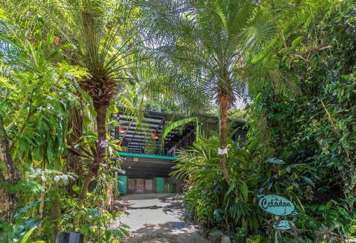 CELADON Holiday House - Accommodation Details