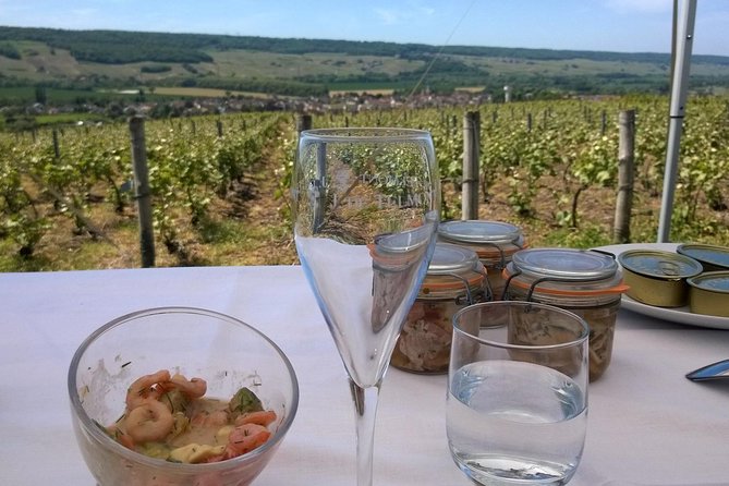 Champagne Moet and Chandon Private Tour With Tastings From Reims or Epernay - Tour Overview and Highlights