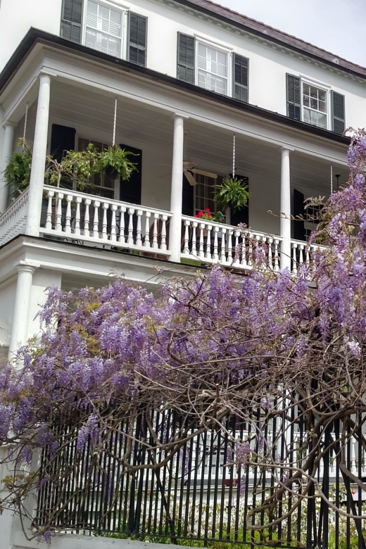 Charleston: Historical Walking Tour With Storytelling