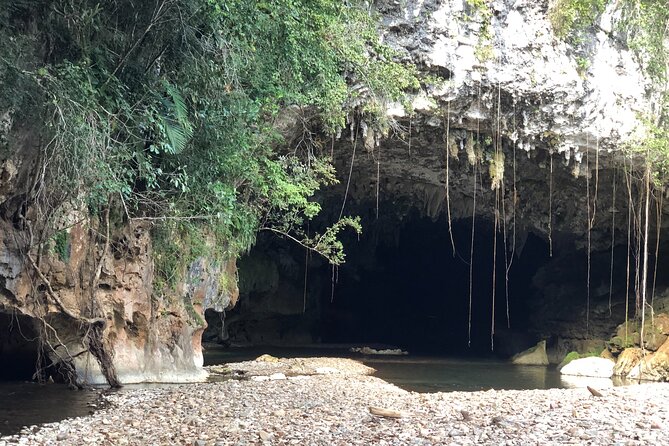 Charlies Cave Tubing Tour for Cruisers (Lunch Included)