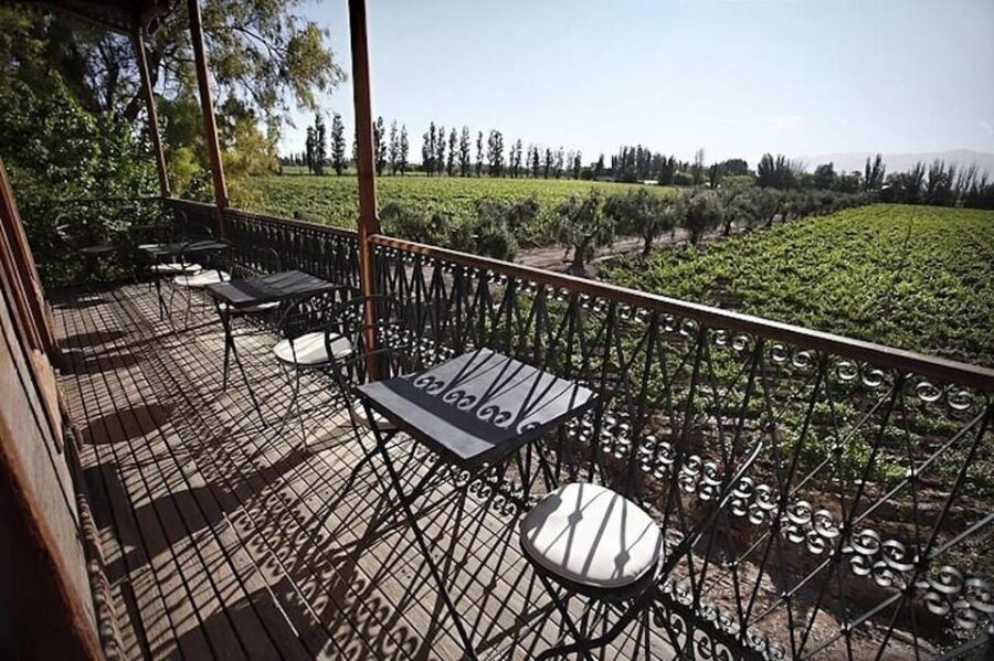 Charms of Mendoza Private Tour 3 Wineries With Paired Lunch - Tour Overview and Pricing