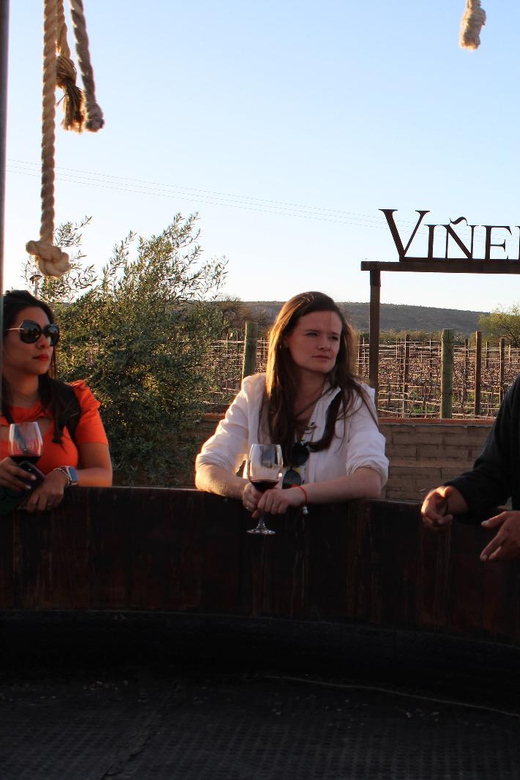 CHEESE AND WINE TOUR