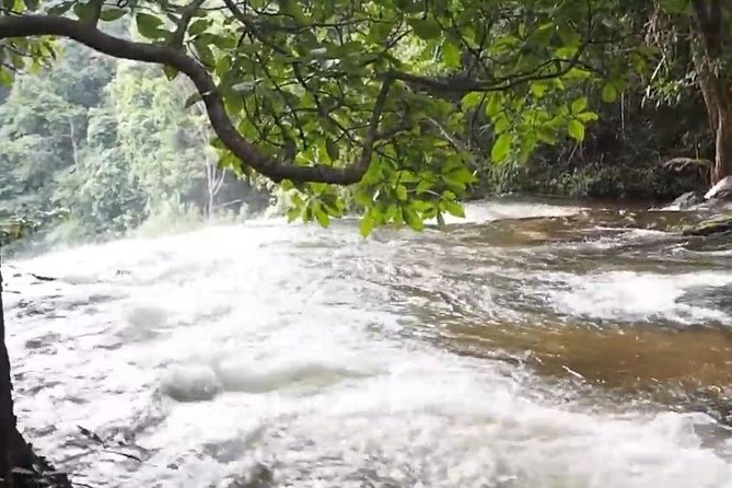 CHIANG MAI: Doi Inthanon-Trekking Pha Dok Seaw-Waterfall-Lunch