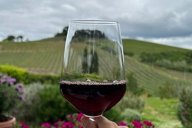 Chianti Classico Wine Tour and Tasting