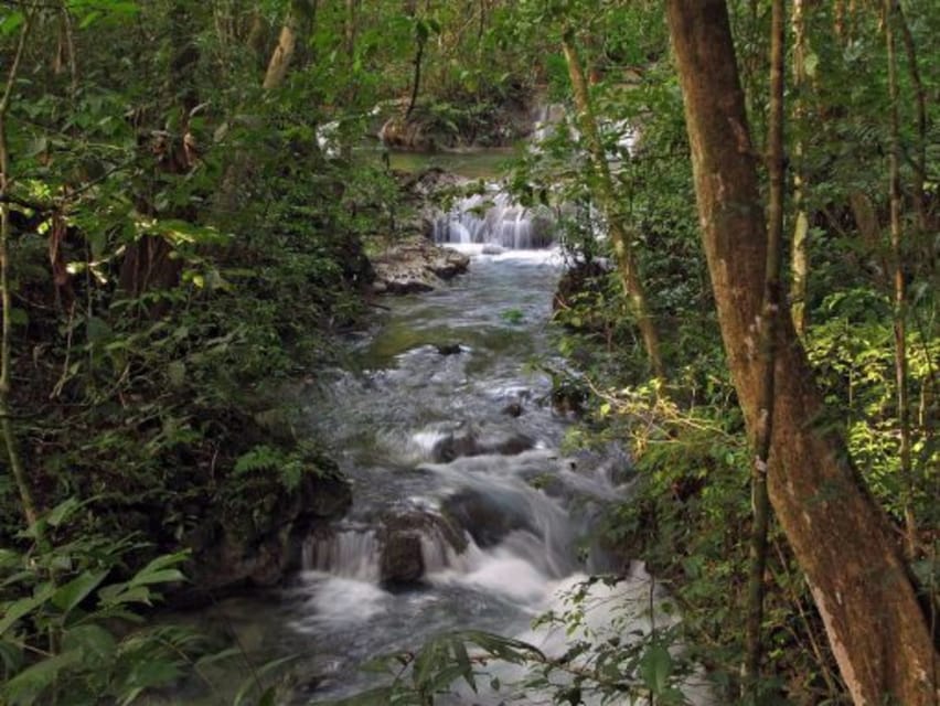 Chiapas: Rio Lacanjá Camp – Lacandon Jungle Experience