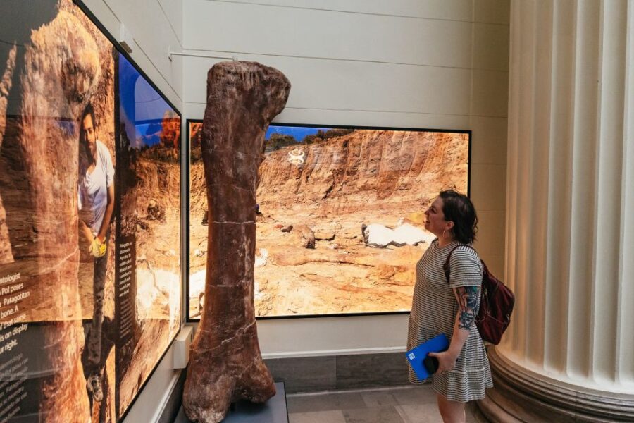 Chicago: Field Museum of Natural History Ticket or VIP Tour - Ticket Pricing and Options