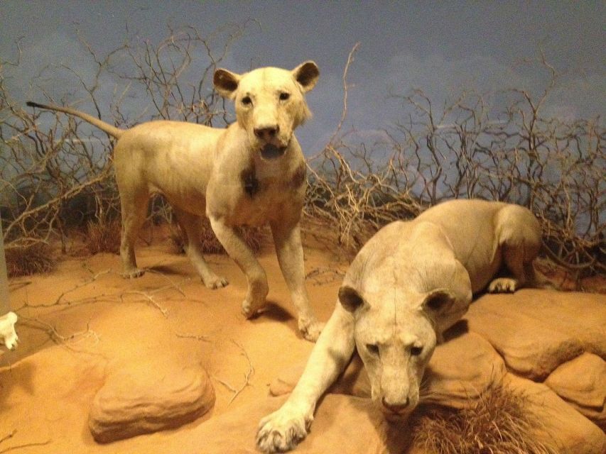 Chicago: Field Museum Ticket & In-App Audio Tour (ENG) - Overview and Pricing
