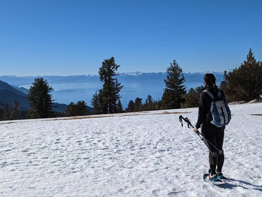 Chickadee Ridge Beginner Snowshoeing Hike
