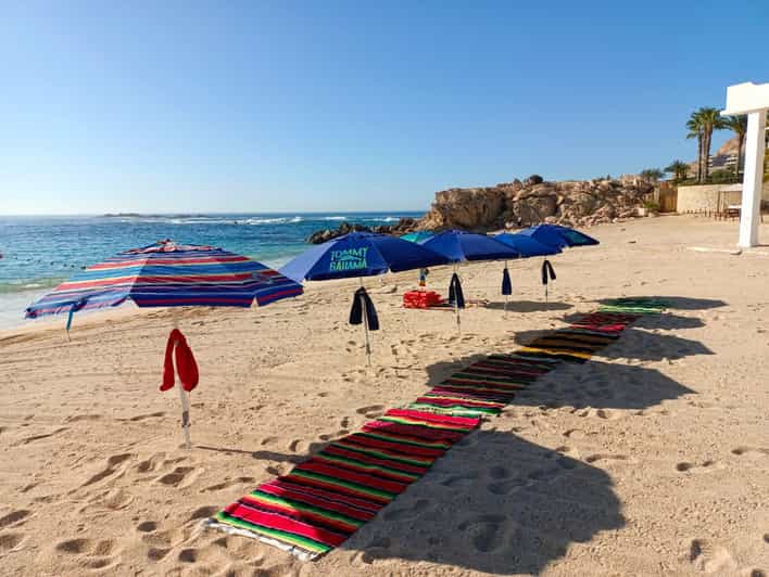 CHILENO BEACH DAY TRIP - Trip Overview and Cost