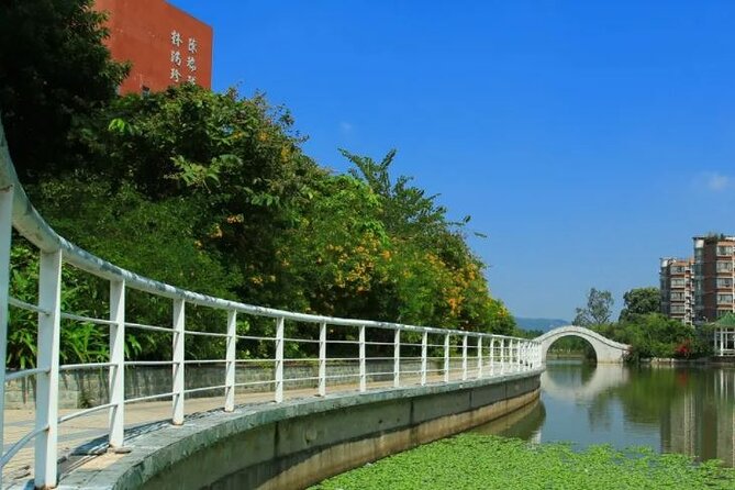 China Education Culture University Campus Guangzhou Private Tour