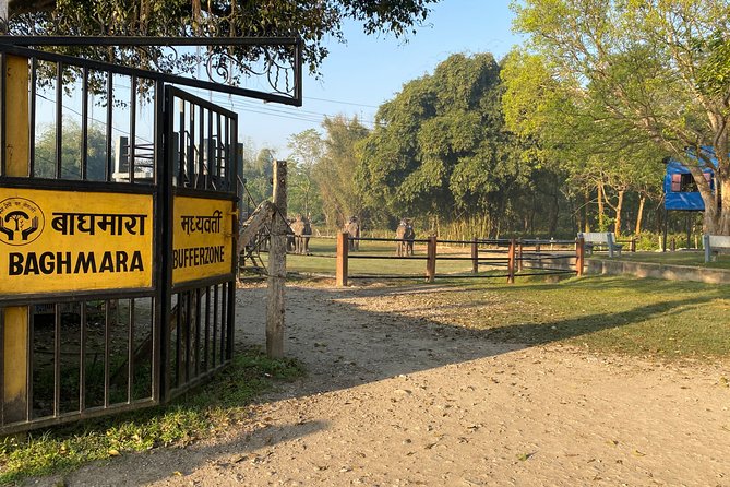 Chitwan Jungle Safari Tour - Included Activities