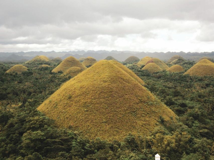 Chocolate Hills Bohol Private Tour