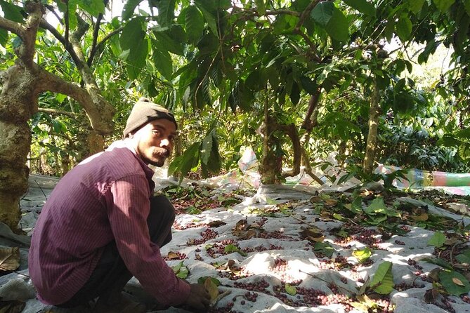 2 Best Coffee Tours And Tastings In Madikeri