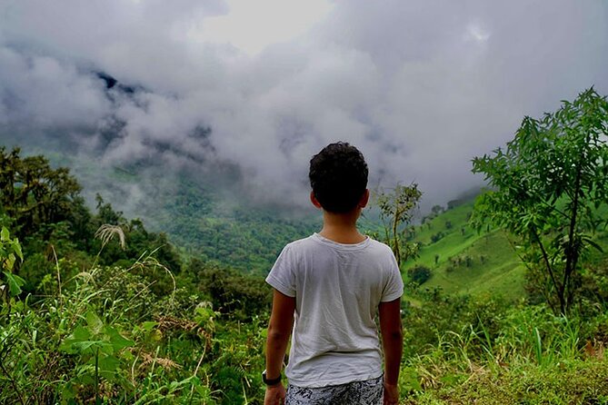Cloud Forest and Waterfalls Private Day Trip - Transportation and Logistics
