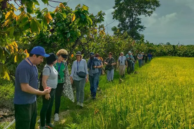 Cocoa and Gastronomy Tour at Hacienda CacaoyMango