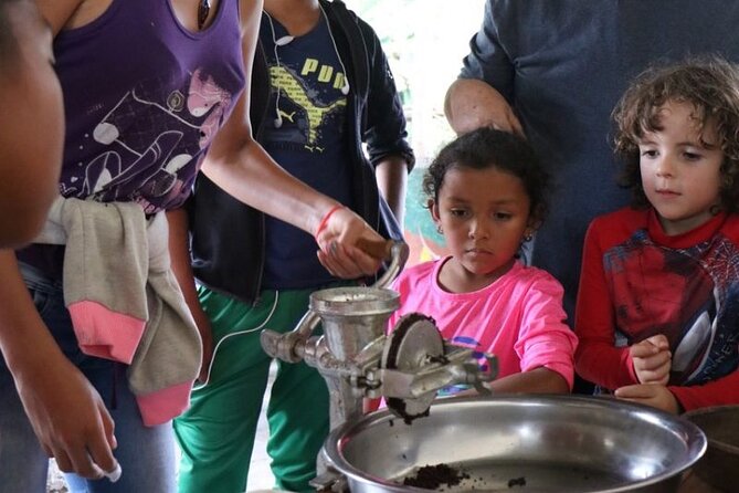 Cocoa - Chocolate Making Experience - Overview of the Experience