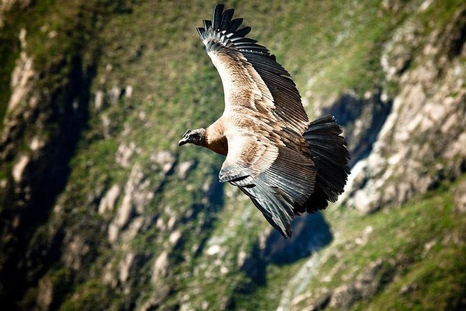 Colca Canyon: 2 Day Tour From Arequipa